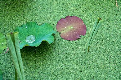 前《GTA》技术总监：《星鸣特攻》开发商值得再给一次机会